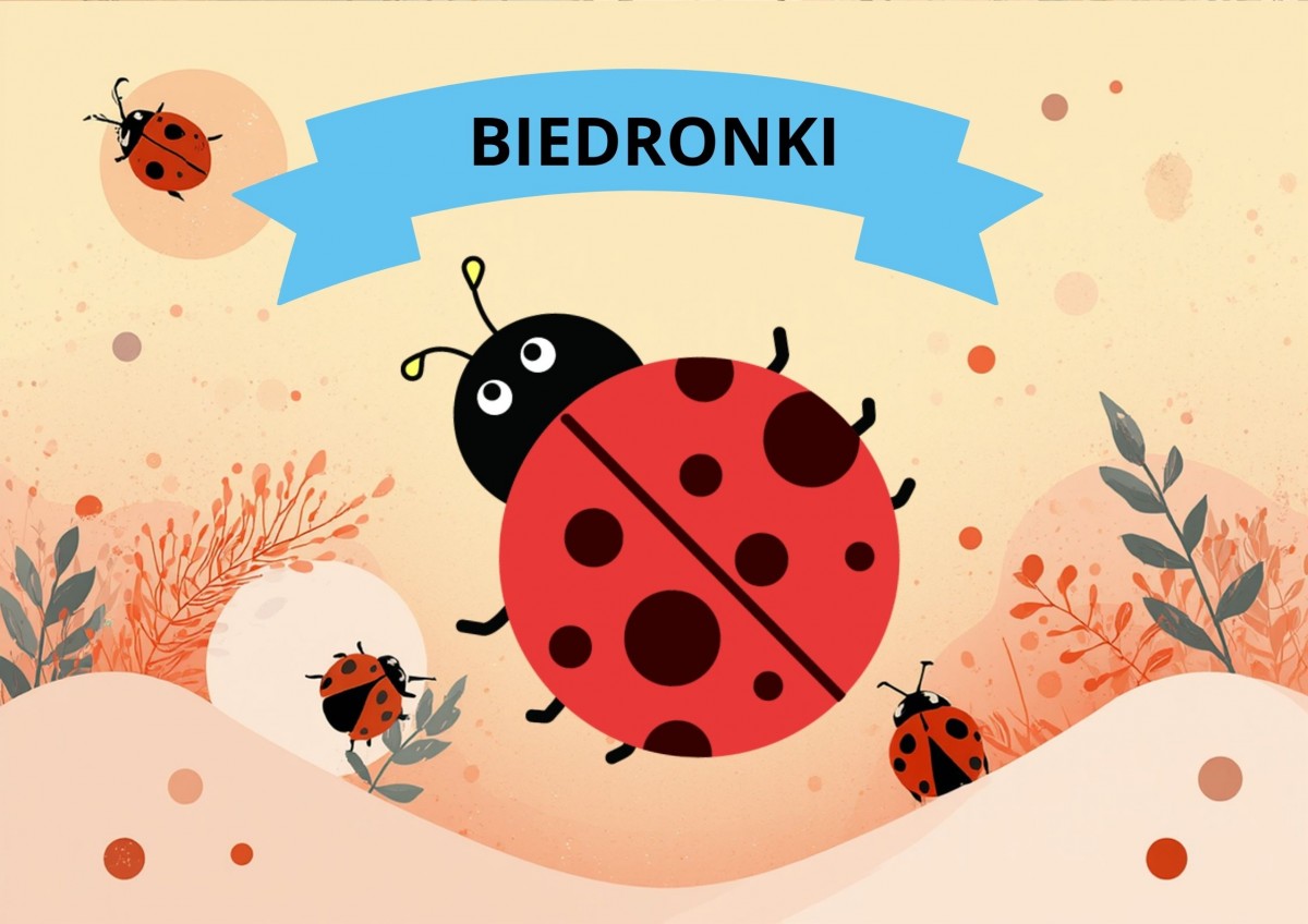 Biedronki
