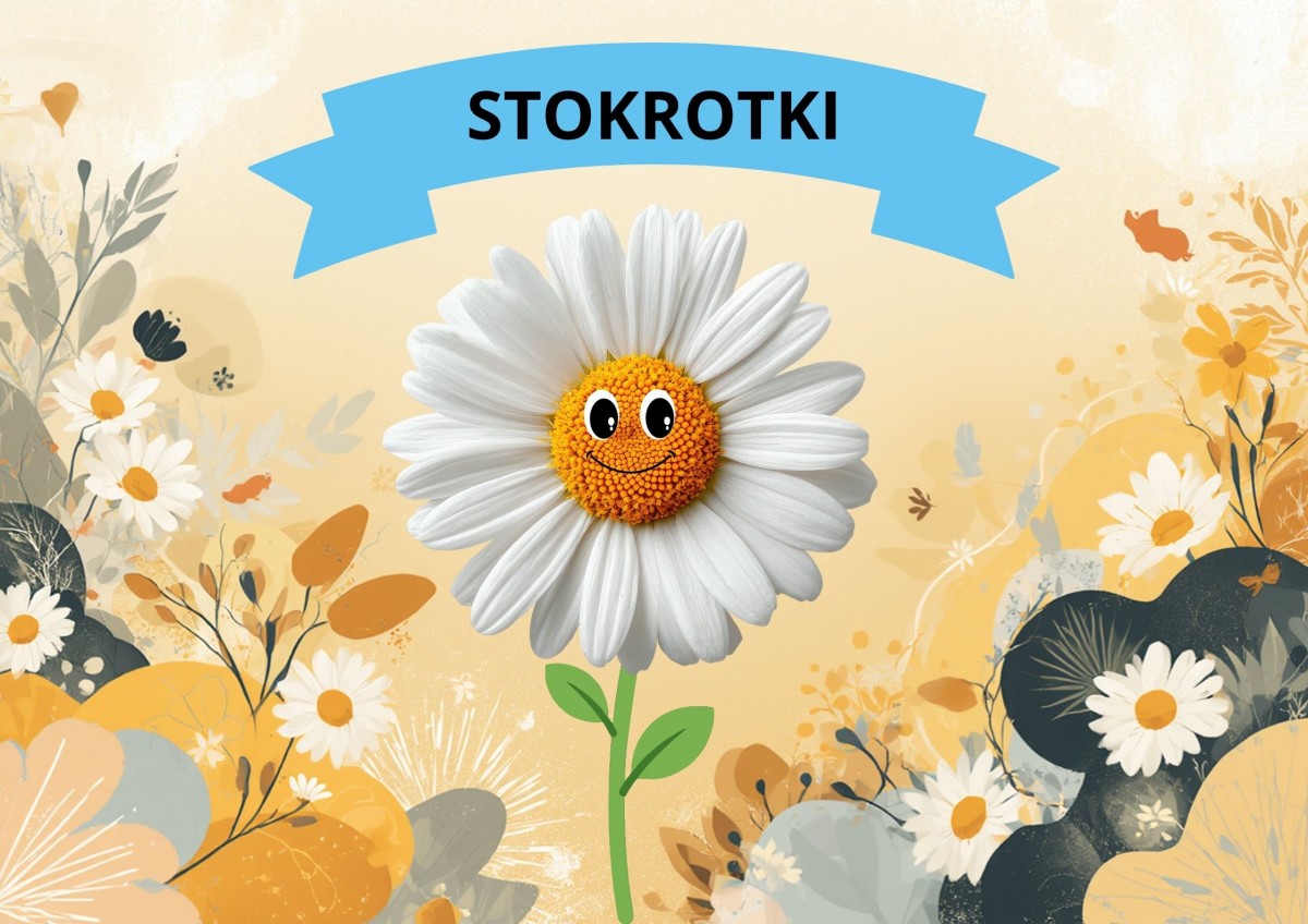 Stokrotki